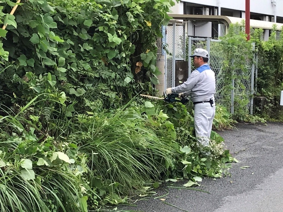 草刈り4